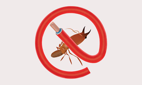 Anti Termite