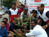 tree plantation drive @ Bhubaneswar